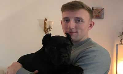 all black cane corso exported to the United Kingdom