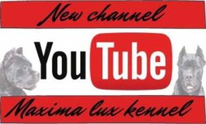 Our you tube channel