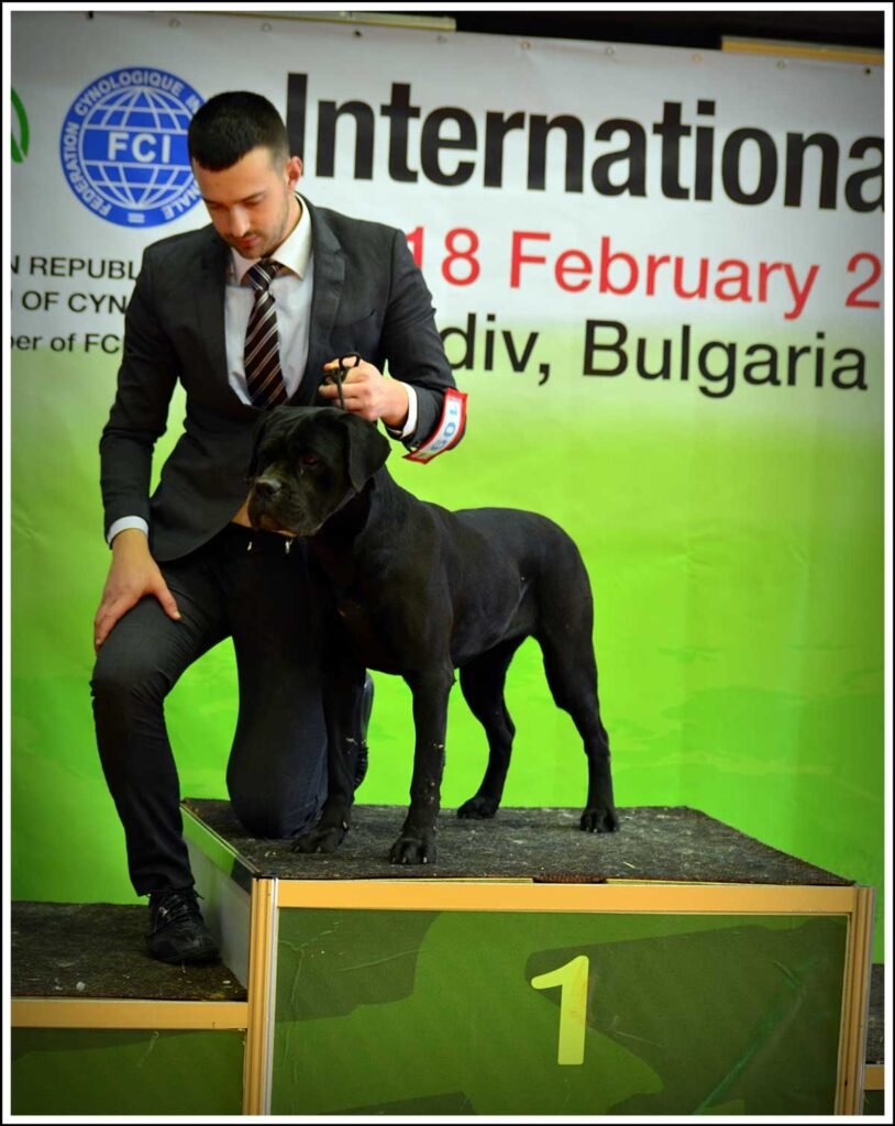 new champion of Bulgary