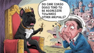 do cane corso tend to be aggressive towards strangers and other animals