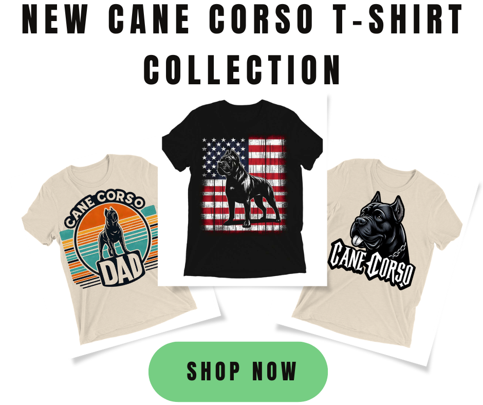 cane corso t-shirt collection