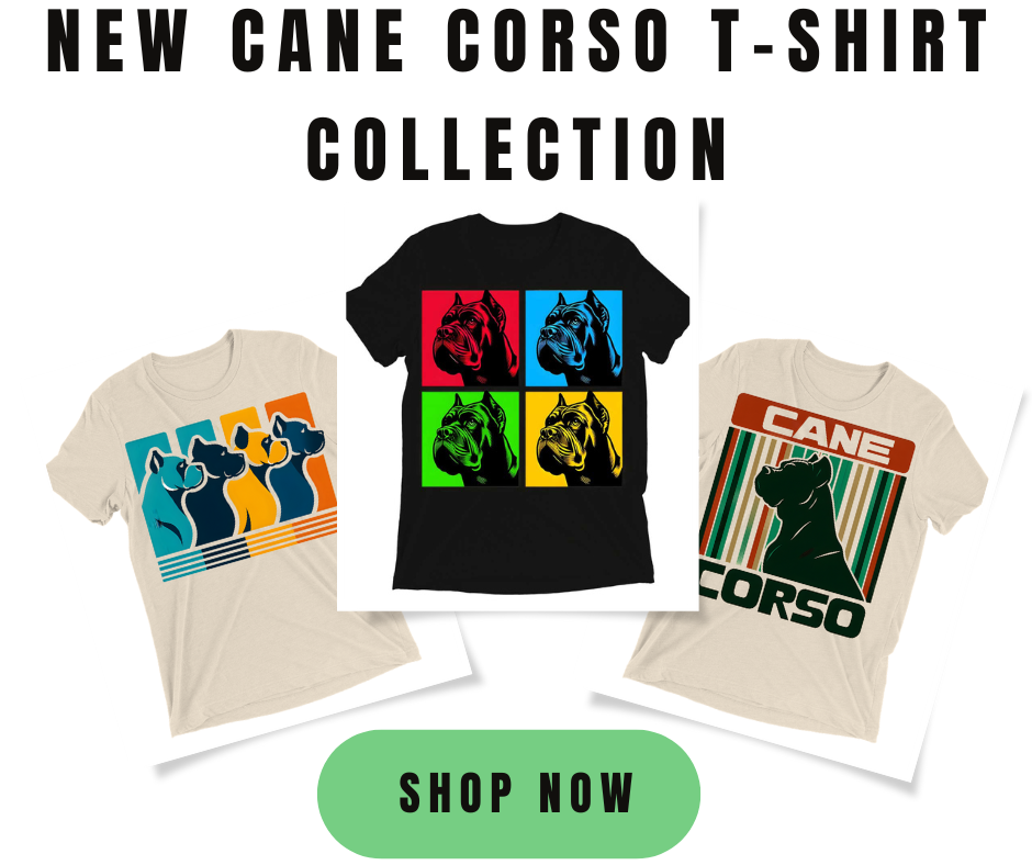 cane corso t-shirt collection