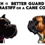 bullmastiff vs cane corso